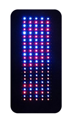 InLight 264 Body Pad - Tri-Color